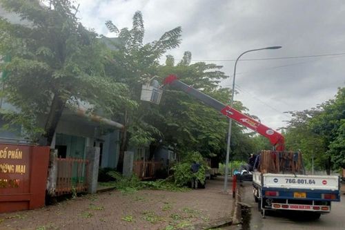 BSPPT triển khai các phương án ứng phó với bão số 12
