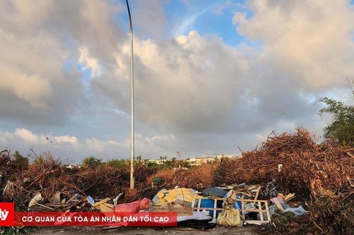 Nghệ An: Cành, lá cây tập kết quá lâu biến đường D3 thành bãi rác tự phát