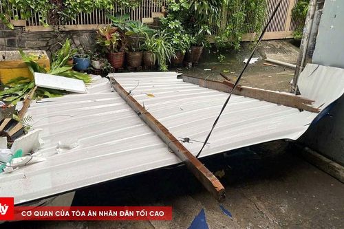 21 đợt mưa dông, lốc xoáy gây thiệt hại hơn 11 tỷ đồng cho TP.HCM