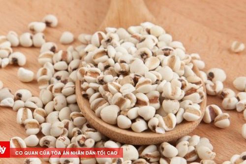 Bộ Y tế thu hồi dược liệu Ý dĩ không đạt tiêu chuẩn chất lượng