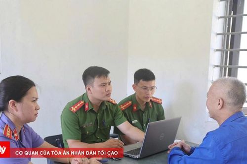 Thu giữ 38 tấn thịt lợn nhiễm dịch tả chuẩn bị bán ra thị trường