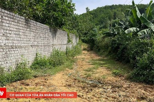 Yêu cầu khắc phục ngay ô nhiễm nước thải trại lợn tràn vào khu dân cư