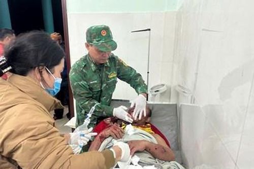 Trưởng thôn người Cơ Tu bị gấu rừng tấn công khi đi rẫy về