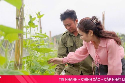 Vụ đông 2025, Hà Tĩnh chú trọng phát triển cây trồng hàng hóa