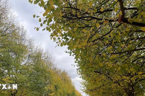 Sắc Thu London quyến rũ, hút hồn du khách