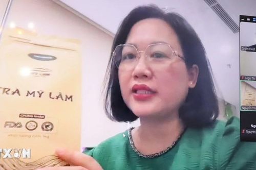 Doanh nghiệp Việt Nam tăng cường tìm kiếm cơ hội hợp tác kinh doanh ở châu Phi