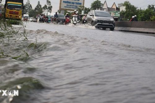 Cần Thơ: Triều cường liên tiếp vượt báo động 3, gây ngập diện rộng