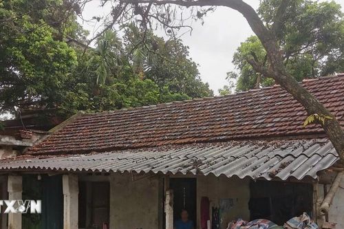 Ninh Bình: Chênh lệch chính sách bồi thường giữa hai xã trong cùng dự án