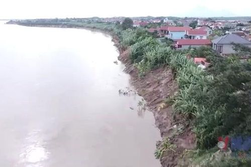 Phú Thọ: Đê hữu sông Thao sạt lở nghiêm trọng