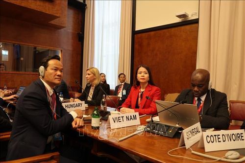 Việt Nam nêu 3 khuyến nghị chính sách tại Hội nghị Bộ trưởng UNCTAD