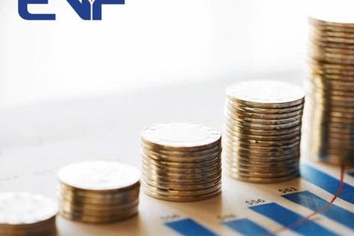 Quý 3/2025: EVF kiểm soát tốt chi phí và nâng cao hiệu quả kinh doanh