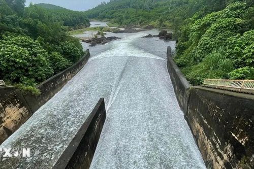 Đà Nẵng xả lũ hồ chứa nước Phú Ninh để ứng phó mưa bão số 12