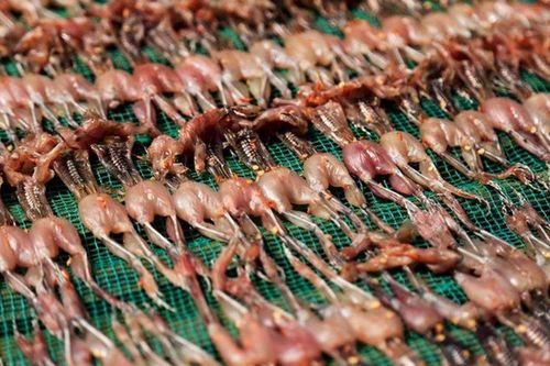 Món ăn miền Tây nhìn dễ khiếp vía, nghe tên ngượng đỏ mặt lại là đặc sản ngon quên lối về