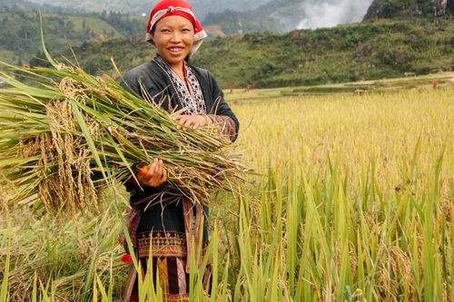 Hướng tới quản trị nguồn lực thống nhất đề giảm nghèo bền vững
