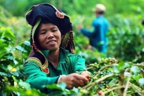 Lan tỏa mô hình nông nghiệp sinh thái tại Việt Nam
