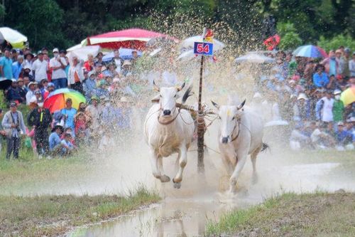Sức sống từ khối đại đoàn kết dân tộc, tôn giáo - Bài 2: Chuyển hóa chính sách thành sức sống cộng đồng