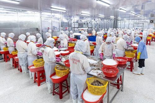 Công nghiệp An Giang tăng tốc, dẫn đầu miền Nam