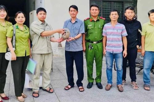 Tự giác giao nộp động vật quý hiếm: Hành động nhỏ, ý nghĩa lớn