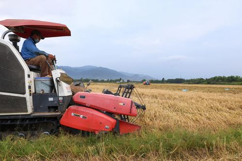 Liên kết để nâng tầm nông sản