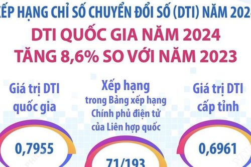 DTI quốc gia năm 2024 tăng 8,6% so với năm 2023