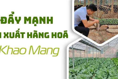 Đẩy mạnh sản xuất hàng hóa ở Khao Mang