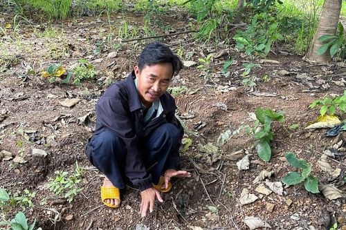Cảnh báo nguy cơ xung đột voi - người tại xã biên giới Lâm Đồng