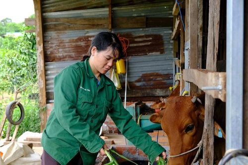 Lâm Đồng tiếp thêm động lực giúp bà con đồng bào thoát nghèo