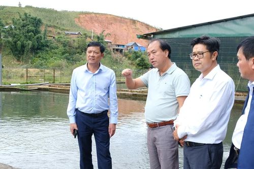Phó Chủ tịch UBND tỉnh Lâm Đồng Lê Trọng Yên khảo sát mô hình nuôi cá nước lạnh tại Đam Rông