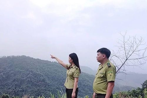 Gìn giữ 'lá phổi xanh'