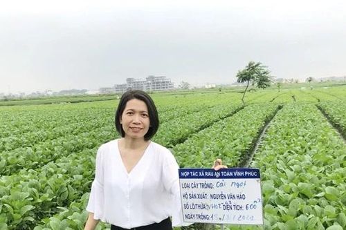 Nữ kỹ sư Kiều Thị Huệ đam mê sản xuất rau sạch