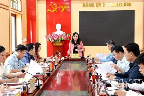 Giám sát việc triển khai Chiến lược công tác dân tộc