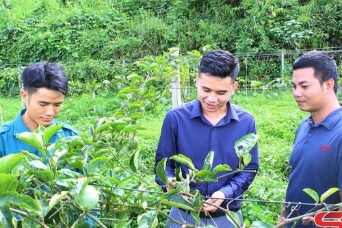 Mường Chiên phấn đấu đạt chuẩn nông thôn mới nâng cao
