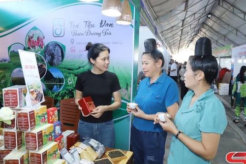 Ứng dụng công nghệ và chế biến sâu sản phẩm chè