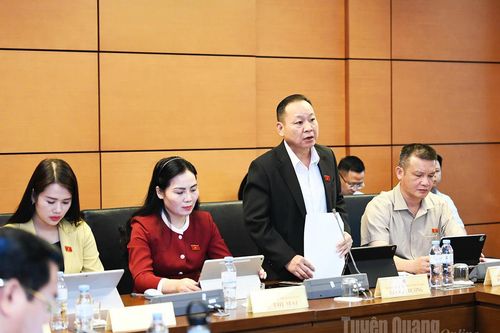 Đại biểu Quốc hội tỉnh góp ý dự án Luật trình Quốc hội