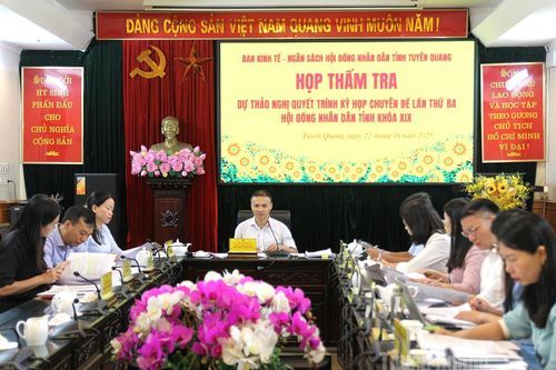 Thẩm tra các dự thảo nghị quyết trình kỳ họp chuyên đề thứ ba HĐND tỉnh khóa XIX