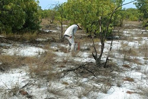 Hoàn thành việc cắm mốc phục vụ giải phóng mặt bằng dự án đường sắt tốc độ cao Bắc - Nam