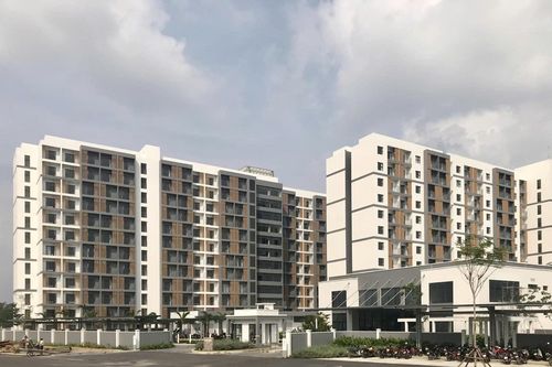 Đà Nẵng: Khu nghỉ dưỡng chuẩn bị hơn 100 phòng ở đón người dân tránh bão số 12
