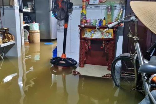 Cà Mau: Triều cường dâng cao, cuộc sống người dân đảo lộn