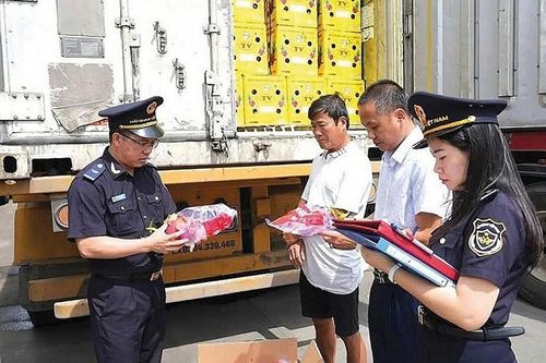 Hải quan tăng tốc hoàn thiện thể chế pháp luật, tạo thuận lợi cho doanh nghiệp