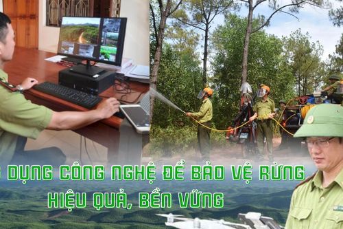 Ứng dụng công nghệ để bảo vệ rừng hiệu quả, bền vững