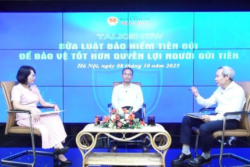 Ý kiến chuyên gia về Cơ cấu tổ chức của Tổ chức Bảo hiểm tiền gửi