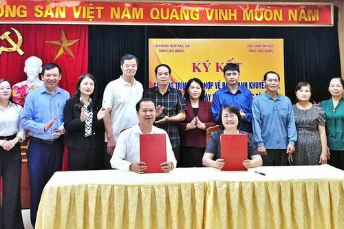 Cao Bằng phối hợp, đẩy mạnh khuyến học, khuyến tài, xây dựng xã hội học tập giai đoạn 2025-2030
