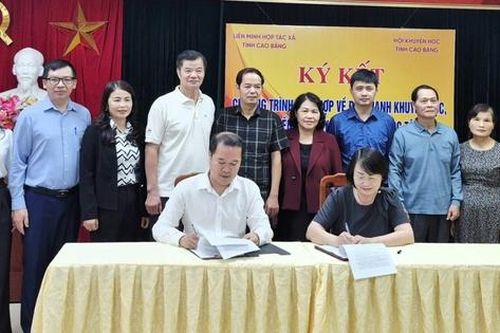 Hội Khuyến học tỉnh Cao Bằng ký kết hợp tác với Liên minh Hợp tác xã tỉnh Cao Bằng