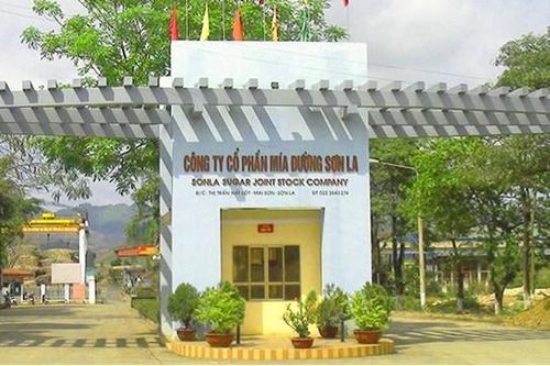 Mía đường Sơn La (SLS): Lãi sau thuế tăng nhẹ, sạch bóng nợ vay