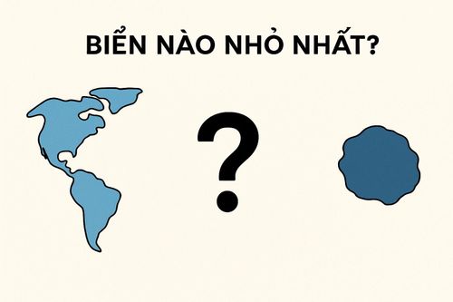 Biển nào nhỏ nhất thế giới?