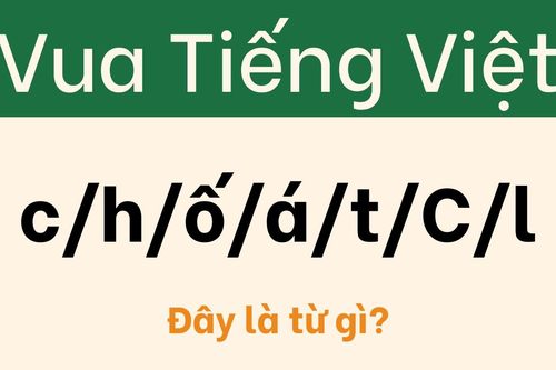 Người 'sành ngữ' cũng phải đầu hàng với câu đố này