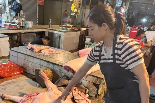 Kỹ sư thú y tiếp tay bán hơn 60 tấn lợn bệnh cho người dân làm thực phẩm