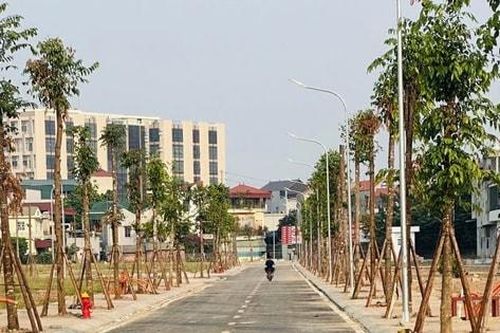 Phúc Thọ: Đầu tư xây dựng khu nhà ở thấp tầng tại khu Đồng Cá