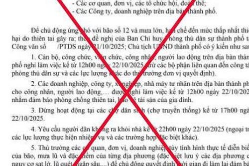 Đà Nẵng bác tin giả cho cán bộ, công chức nghỉ làm, dừng hoạt động chợ vì bão số 12