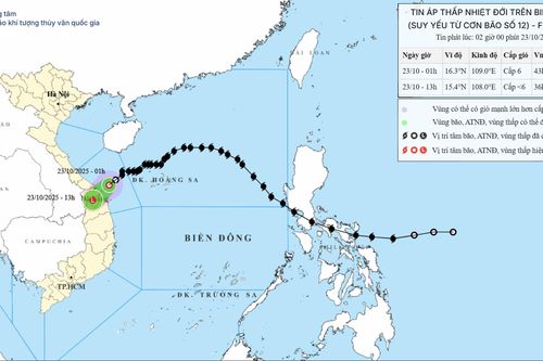 Bão Fengshen suy yếu thành áp thấp, sáng nay đổ bộ đất liền Đà Nẵng- Quảng Ngãi